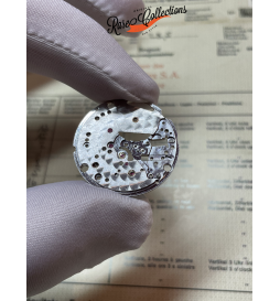 Rolex 3000 MainPlate Main Plate Piastra Platina 3000-100 Usata Ottime condizioni