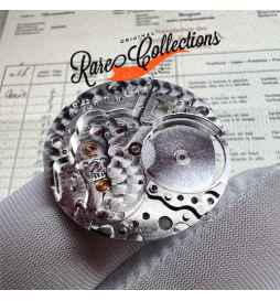 Platina Rolex 1570 8130 MainPlate
