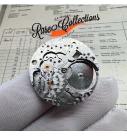 Platina Rolex 1570 8130 MainPlate