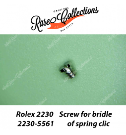 NEW Nuovo Rolex 2230-5561 Screw